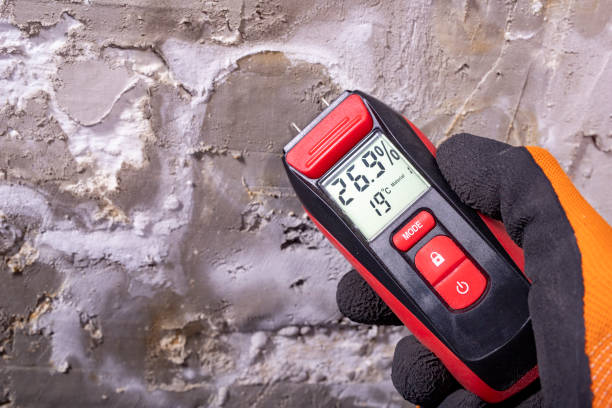 Best Mold Damage Repair  in Lathrup Village, MI