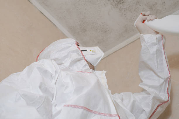 Best Mold Damage Repair  in Lathrup Village, MI