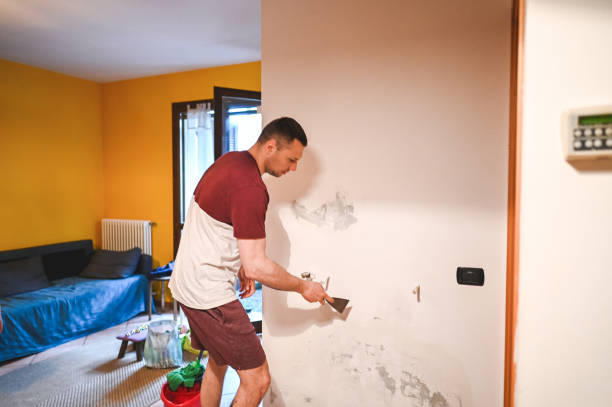 Best Crawl Space Mold Removal  in Lathrup Village, MI